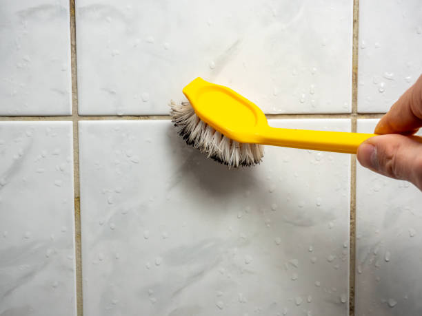 Best Emergency Mold Removal  in Mckinney, TX