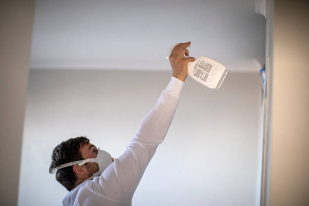 Best Certified Mold Removal  in Mckinney, TX