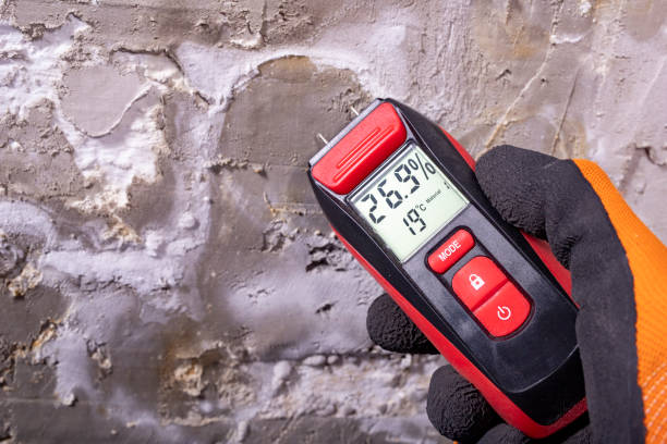 Best Mold Removal and Inspection  in Mckinney, TX
