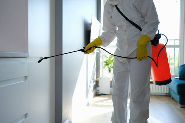Best Mold Testing  in Mckinney, TX
