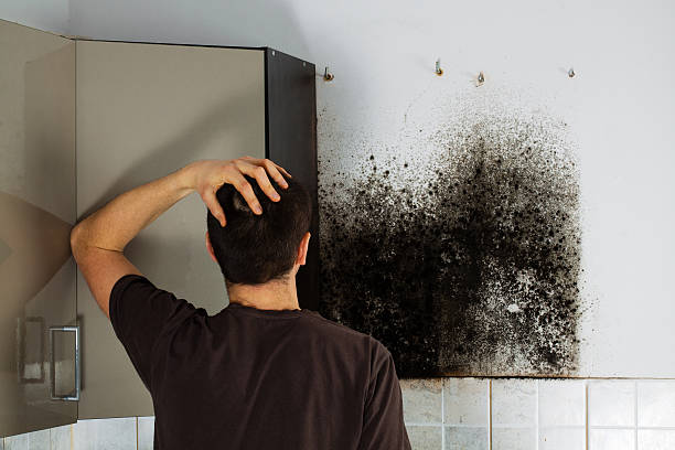 Best Mold Removal Near Me  in Mckinney, TX